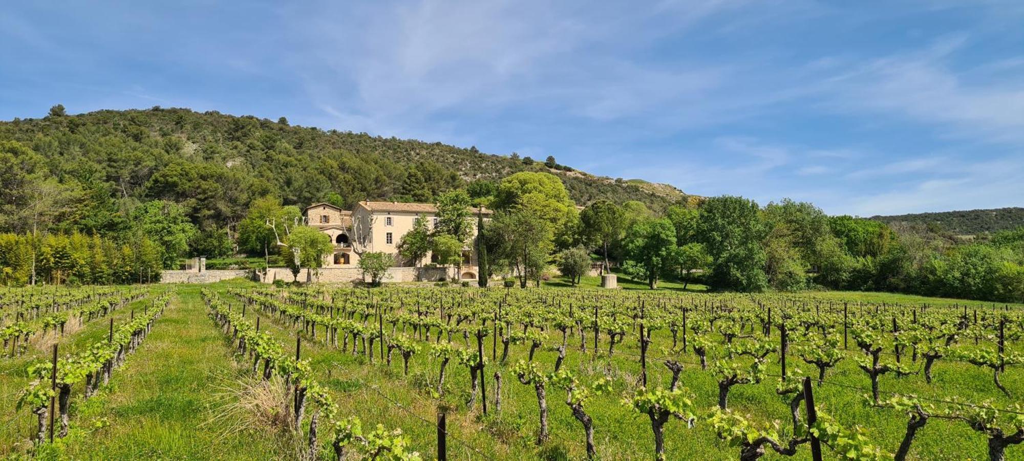 La Bastide De Peyremale, Gites En Cevennes, Piscine, Tennis Bagard Kültér fotó