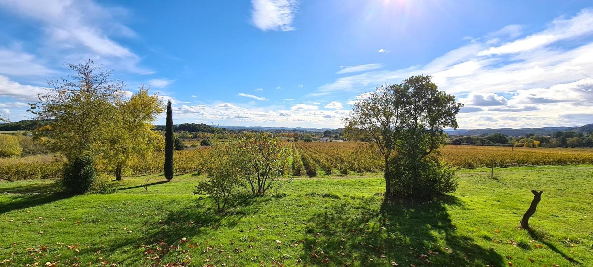La Bastide De Peyremale, Gites En Cevennes, Piscine, Tennis Bagard Kültér fotó